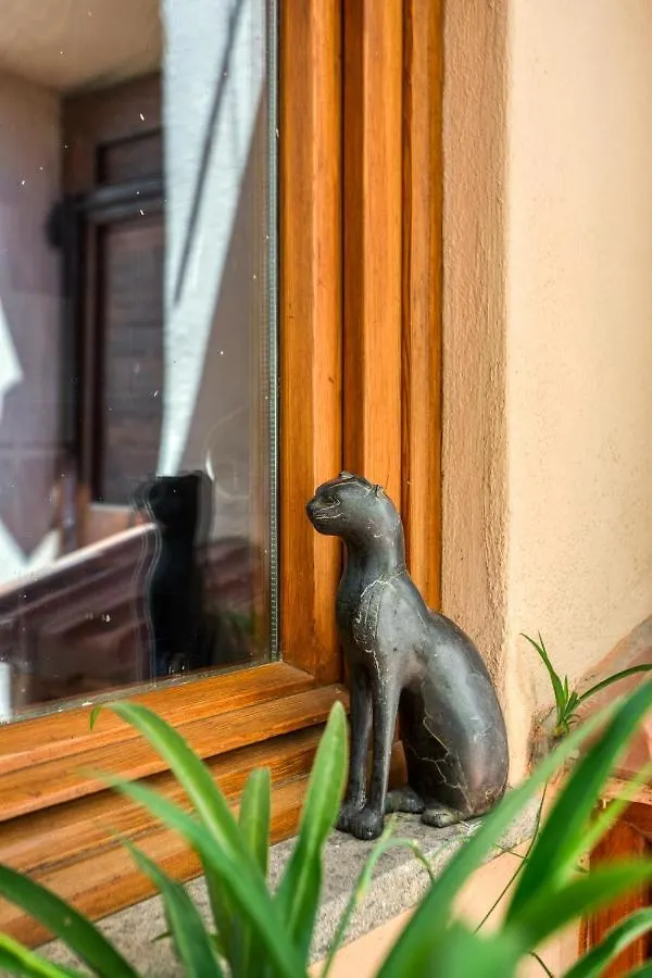 Maggiore 145 Apartment With Private Garden - Rione Monti Rome